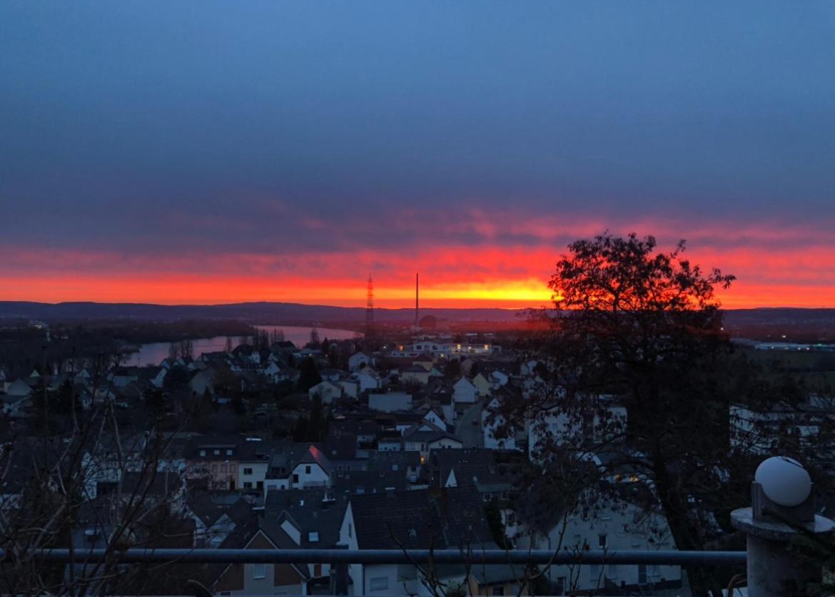 Zum schönen Ausblick Weissenthurm Exterior foto